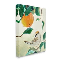 Stupell Industries ptica smještena narančasto voćna grana lišće Galerija za slikanje zamotana platno zidna umjetnost,