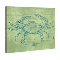 Wynwood Studio Nautical and Coastal Wall Art Canvas ispisuje morski život 'The Common Blue Crab' - zelena, plava