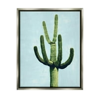 Kaktus biljka sušna vegetacija Botanička i cvjetna grafička umjetnost sjajna siva uokvirena umjetnička print zidna