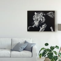 Zaštitni znak likovna umjetnost 'Burning Bright Tiger' platno umjetnost Julie T. Chapman