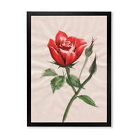 DesignArt 'Drevni cvijet crvene ruže II' Tradicionalni uokvireni umjetnički tisak