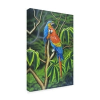 Zaštitni znak likovna umjetnost 'Rainbow Macaw' platno umjetnost Luis Aguirre