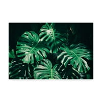 Zaštitni znak likovna umjetnost 'Tropska zelena palma' platno umjetnost od fotoinc studija