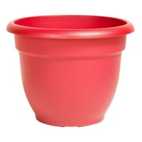 Ariana Pot W Wding Disk 10 -Tequila Sunrise