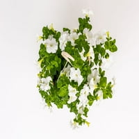 Stručnjak vrtlar 1,5 g Petunia Limbo White Godišnja živa biljka