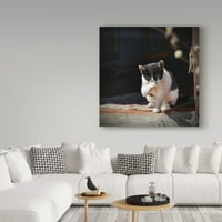 Zaštitni znak likovna umjetnost 'Kupanje mačke' platnene umjetnosti Christine Sainte-Laudy