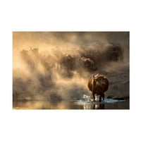 Leila Emektar-slika na platnu magloviti Heard