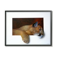Stupell Industries Wild Cougar odmarajuća glava Zanimljiva iluzija slikanje slikanje crne uokvirene umjetničke print
