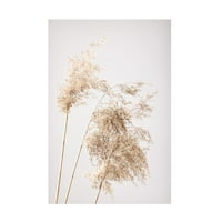 Studio III 'Reed Grass Grey 07' platno umjetnost