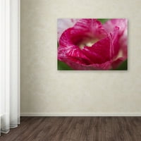Zaštitni znak likovna umjetnost Pepermint Tulip Canvas Art by Kurt Shaffer