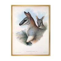 Drevni kenguru uokviren slikarskom platnu umjetnički tisak