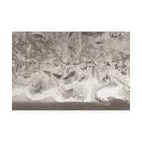 Zaštitni znak likovna umjetnost 'Mozaik od ledenih kristala' platno umjetnost Kurt Shaffer fotografije