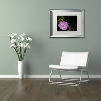 Zaštitni znak likovne umjetnosti Pink Cosmos Flower Canvas Art by Kurt Shaffer, White Matte, Silver Frame