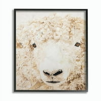 Stupell Industries Sheep Portret Farm Slikati životinje Uokvireni zidna umjetnost Diana Fifer, 16 20