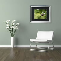Zaštitni znak likovna umjetnost Green Heron Canvas Art by Kurt Shaffer, Black Matte, Silver Frame