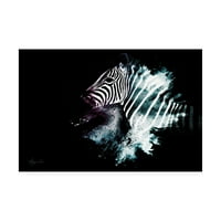 Zaštitni znak Kolekcija - Zebra, platno Philipa Hugonnara