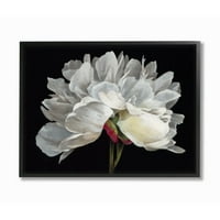 Stupell Industries Minimalni detalj bijelog cvijeta latica cvjetni dizajn uokvireni zidni umjetnički dizajn Liz