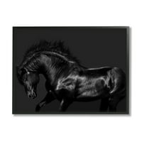 Stupell Industries Moderna fotografija crnog konja Divlji stadion Monorromatic, 11, dizajn Samantha Carter