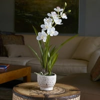 Elementi Umjetno orhideje zelenila u keramičkom loncu