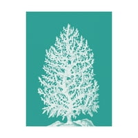 Zaštitni znak likovna umjetnost 'Coral Tree White on Tirquoise' platno umjetnost Fab Funky