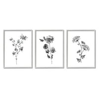 Stupell Desirtions Minimalni akvarel za kukuruz i divlje cvjetove crno bijele cvjetove, 30, dizajn Conrada Knutsena