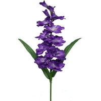 Teters Cvjetna ljetna kolekcija 33 Purple Gladiolus stabljika, komad