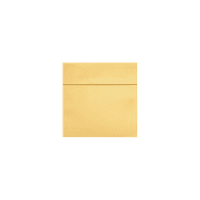 Luktarske kvadratne omotnice s Peel & Press, Gold Metallic, 250 Pack