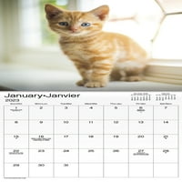 Trendovi Međunarodni mačići Mini zidni kalendar