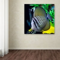 Zaštitni znak likovna umjetnost Tropska riba 2 Canvas Art by Kurt Shaffer