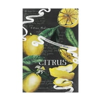 CHALKBORD CITRUS II 'CANVAS ART by Grace Popp