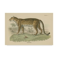 Zaštitni znak likovna umjetnost 'Vintage leopard' platno umjetnost od portfelja Wild Apple