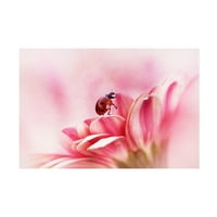 Ellen van Deelen 'Ladybird on Gerbera' platno umjetnost