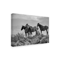 Gordon Semmens 'Uđite u Badlands BW 18' Canvas Art