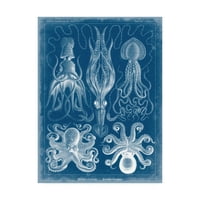 Zaštitni znak likovne umjetnosti 'Marine Blueprint v' Canvas Art by Vision Studio