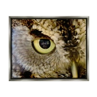 Stupell Industries sova Eye Close Up Divlje životinje i insekti Slikanje sivog plutara uokvirenog umjetničkog tiska