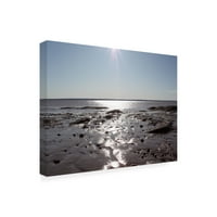 Willow Way Studios Inc 'Atlantic Skies II' Canvas Art